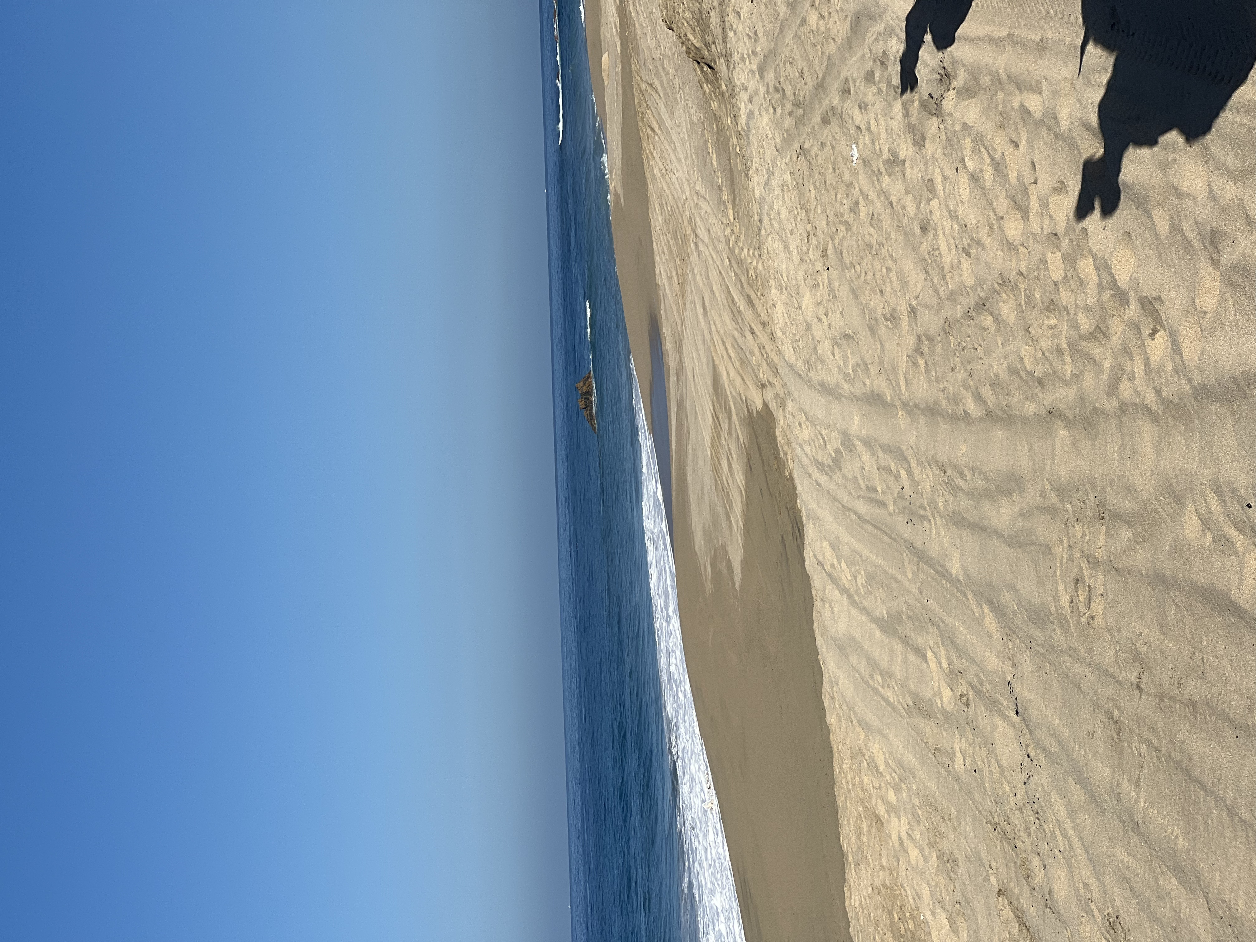 ./2024/13 - Cabo/IMG_4454.jpg